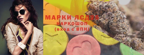 дмт Арсеньев