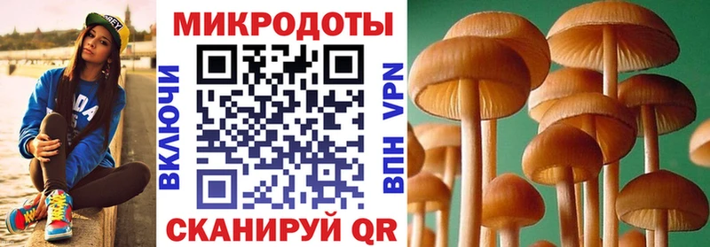 Галлюциногенные грибы прущие грибы  Маркс 